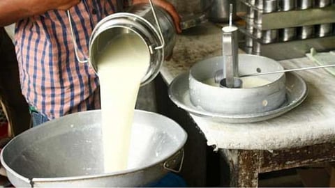 Milk Producer