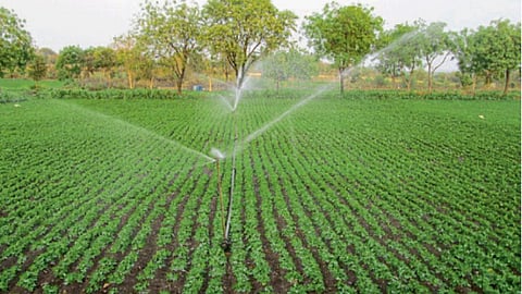 Crop Management