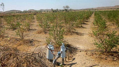 Water Crisis