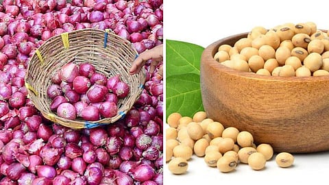 Onion and Soybean