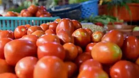 Tomato Market