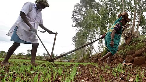 Kharif and Rabi seasons