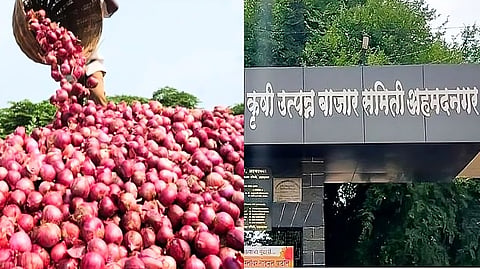 Onion auction Ahmednagar
