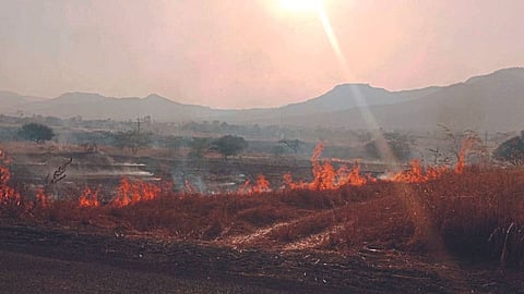Fodder Fire