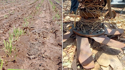 Agriculture Update