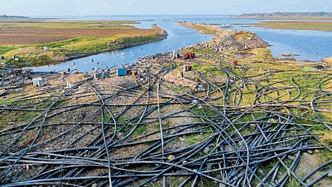 Ujani Dam