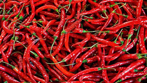 Red Chilli