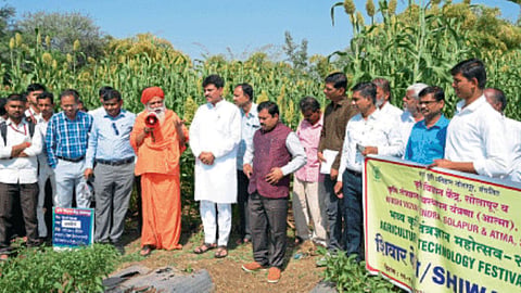 Organic Farming
