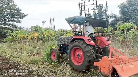 Crop Damage
