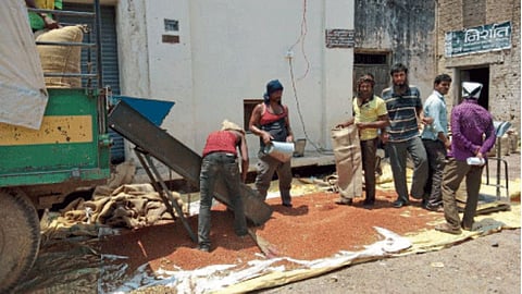 Tur Production