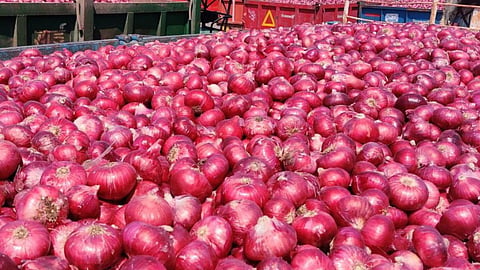 Onion Price