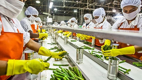 Food Processing