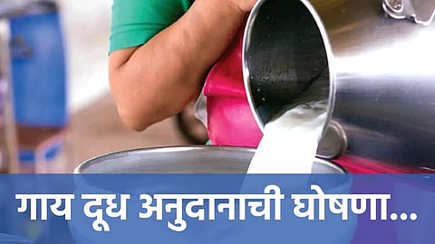 Cow Milk Rate