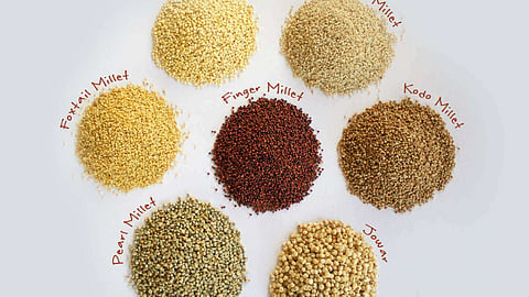 Millet