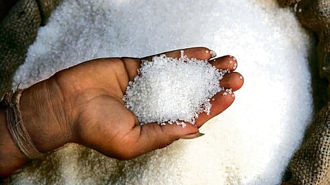 Sugar Rate