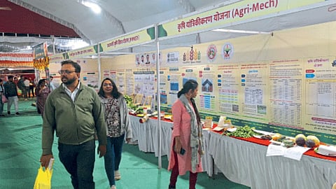 Agriculture Festival