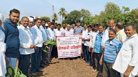 Sericulture Farming