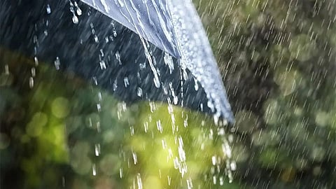 Weather
