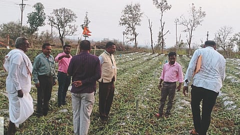 Crop Damege