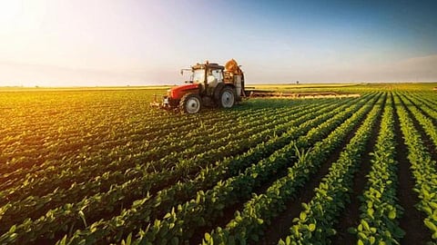 Agriculture
