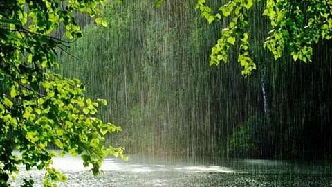Rain Update