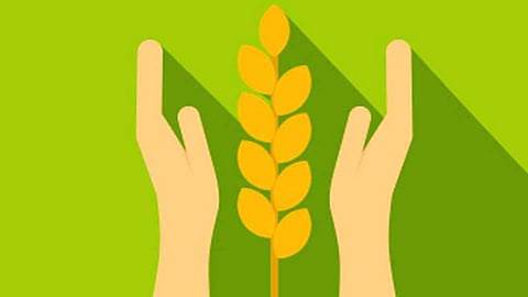 Crop Compensation