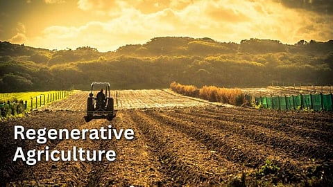 Regenerative Farming
