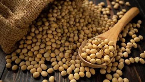 Soybean MSP