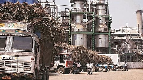 Sugar Production