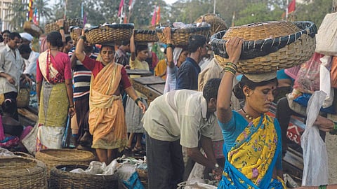 Fishing Business Alibaug