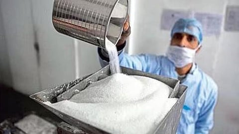 Sugar Production