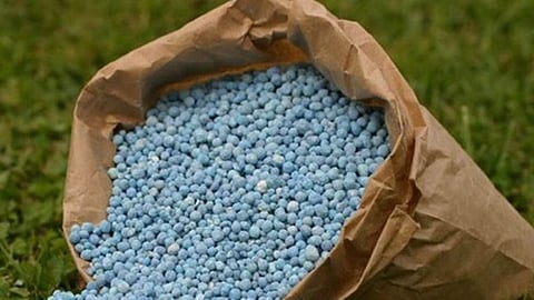 Fertilizer