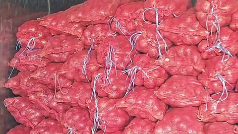 Onion Smuggling