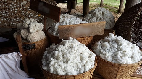 Cotton Market