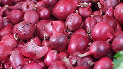 Onion Market