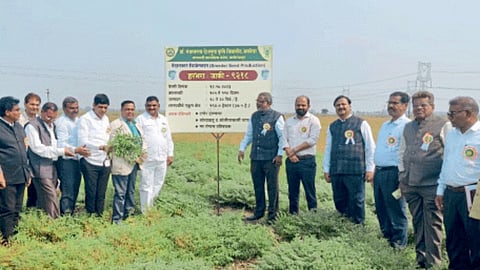 Agriculture Program