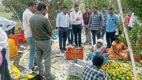 Horticulture