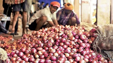 Onion Market
