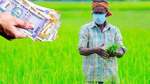 Crop Loan