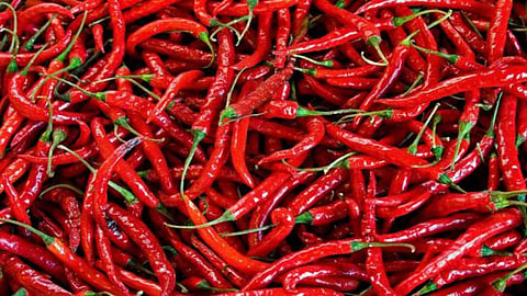 Chilli
