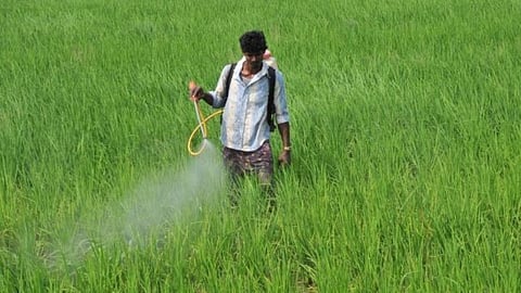 Nano Urea