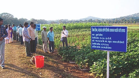 Village Development