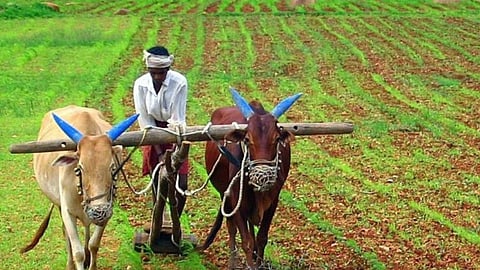 Farmer Accident Scheme