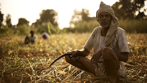 Agriculture Budget