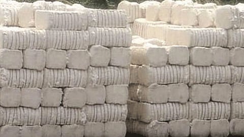 Cotton Production