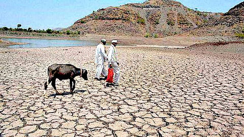 Drought Condition