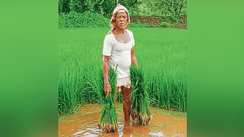 Barku Ughade