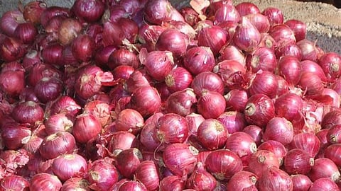 Onion