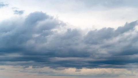 Rain Forecast