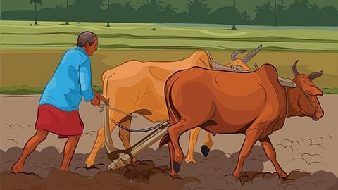 Agriculture